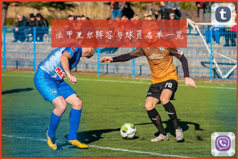 法甲里尔阵容与球员名单一览