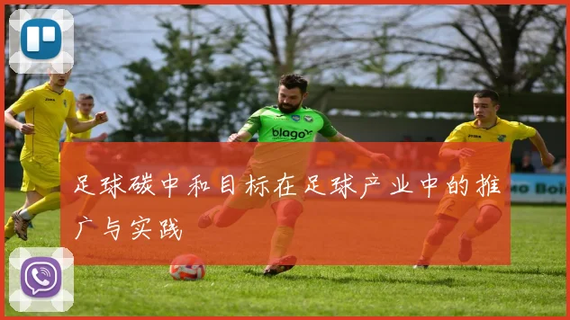 足球碳中和目标在足球产业中的推广与实践