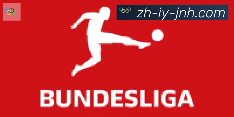 金年会体育合作伙伴