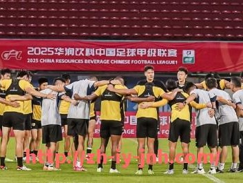 金年会体育-德甲新赛季（2024-2025）已确定的降级球队名单盘点